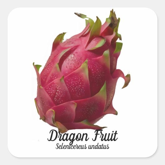 Dragon Fruit Vierkante Sticker (Voorkant)