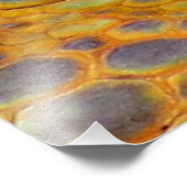 Dragon Guardian Foto Afdruk (Hoek)