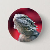 Dragon Head Button (Voorkant)