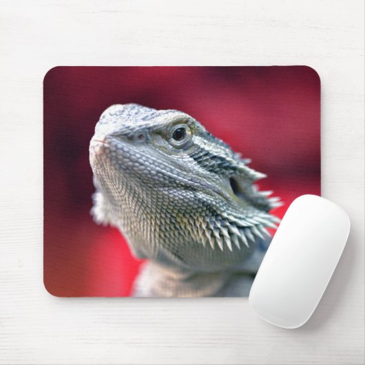 Dragon Head Mousepad Muismat (Met muis)