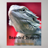 Dragon Head Poster (Voorkant)