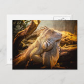 Dragon Iguana Briefkaart (Voorkant / Achterkant)