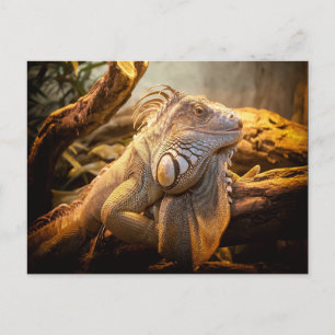 Dragon Iguana Briefkaart