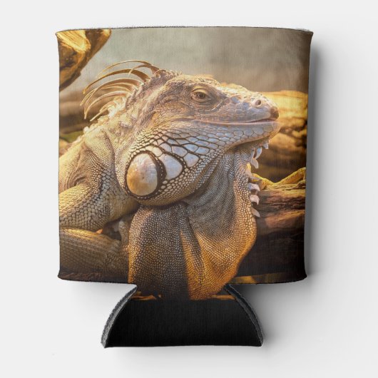 Dragon Iguana naam Blikjeskoeler (Voorkant)