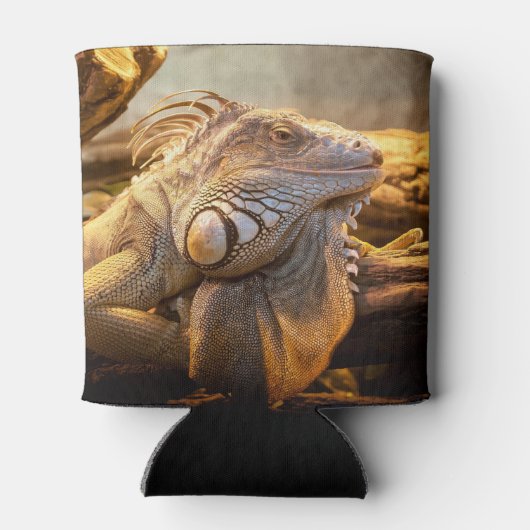 Dragon Iguana naam Blikjeskoeler (Achterkant)