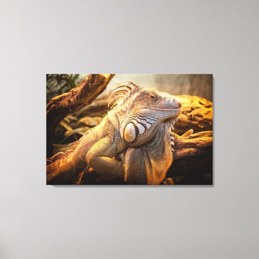 Dragon Iguana naam Fred Wrapped canvas Afdruk (Voorkant)