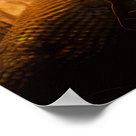 Dragon Iguana Posters (Hoek)