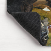 Dragon King The Gathering Fantasy Muismat (Hoek)