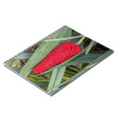 Dragon Lily Rood Zaad Hoofd Notitieboek (Linkerzijde)