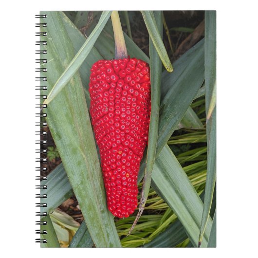 Dragon Lily Rood Zaad Hoofd Notitieboek (Voorkant)