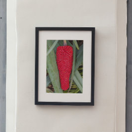 Dragon Lily Rood Zaad Hoofd Perfect Poster