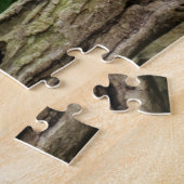 Dragon lizard sleeping along a long tach legpuzzel (Zijkant)