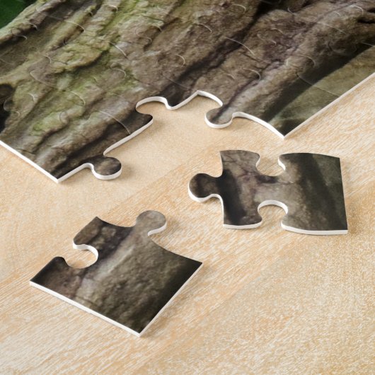 Dragon lizard sleeping along a long tach legpuzzel (Zijkant)