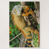 Dragon lizard sleeping along a long tach legpuzzel (Verticaal)