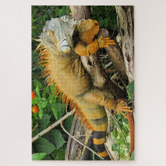 Dragon lizard sleeping along a long tach legpuzzel (Verticaal)