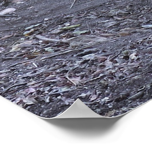 Dragon Love Poster (Hoek)