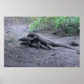 Dragon Love Poster (Voorkant)