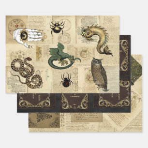  dragon Magical Beasts Grimoire Inpakpapier Vel