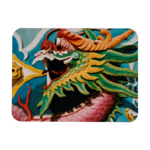 Dragon Magneet