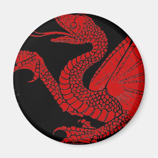 Dragon Magnet (Voorkant)