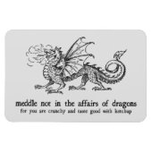 Dragon Magnet Magneet (Horizontaal)