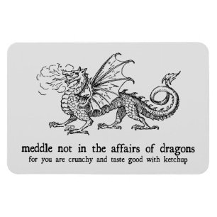 Dragon Magnet Magneet