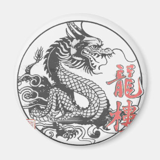 Dragon Martial Arts School Magneet