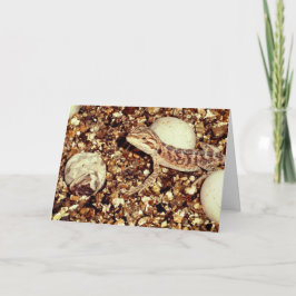 Dragon met ingesloten ruimte kaart