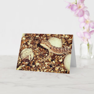 Dragon met ingesloten ruimte kaart