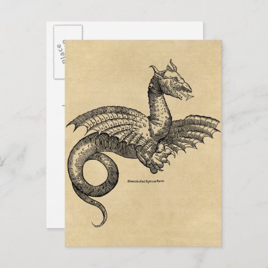 Dragon Parchment briefkaart (Voorkant / Achterkant)