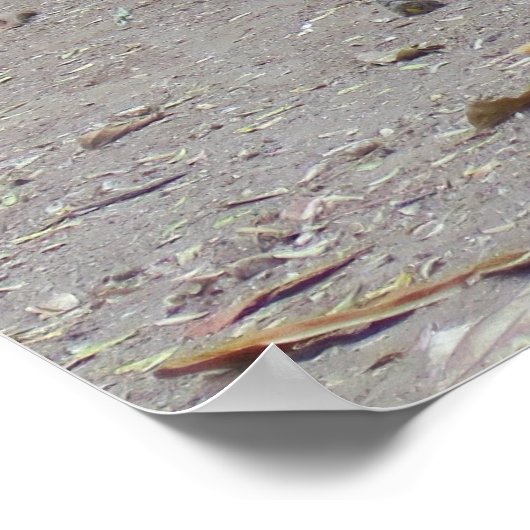 Dragon Portret Poster (Hoek)