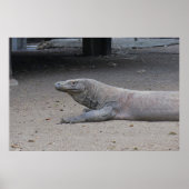 Dragon Portret Poster (Voorkant)