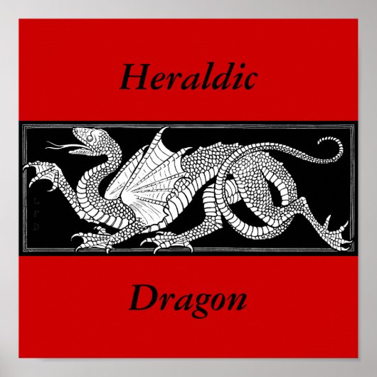 Dragon Poster (Voorkant)