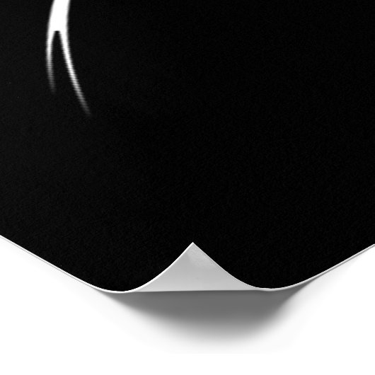 Dragon Poster (Hoek)