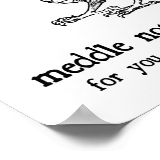 Dragon Poster (Hoek)