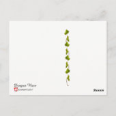 Dragon Race Briefkaart (Achterkant)