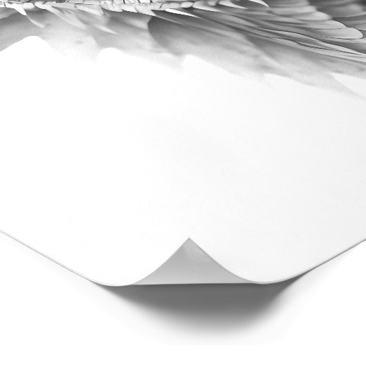 Dragon Realistic Portrait Kind Child Room Poster (Hoek)