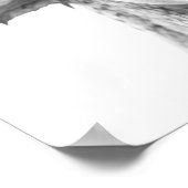 Dragon Realistic Portrait Kind Child Room Poster (Hoek)