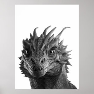 Dragon Realistic Portrait Kind Child Room Poster