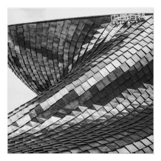 dragon reflexes perfect poster