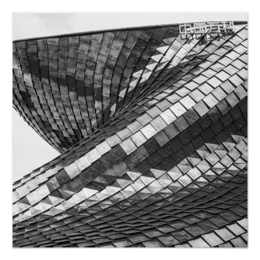 dragon reflexes perfect poster (Voorkant)