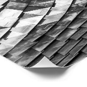 dragon reflexes perfect poster (Hoek)