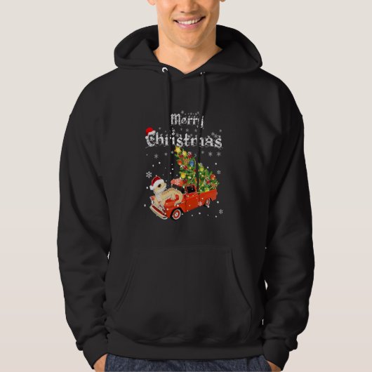 Dragon Ride Red Truck Hoodie (Voorkant)