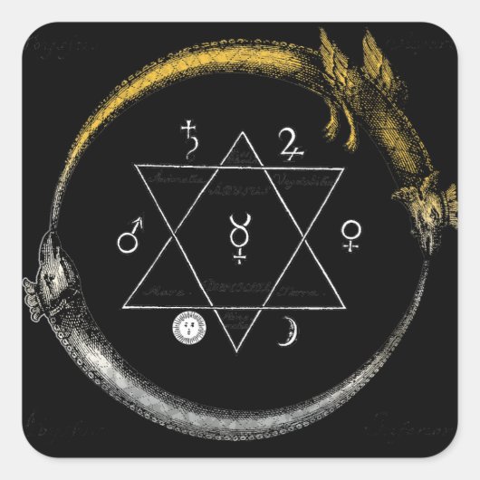Dragon & Snake Ouroboros Vierkante Sticker (Voorkant)