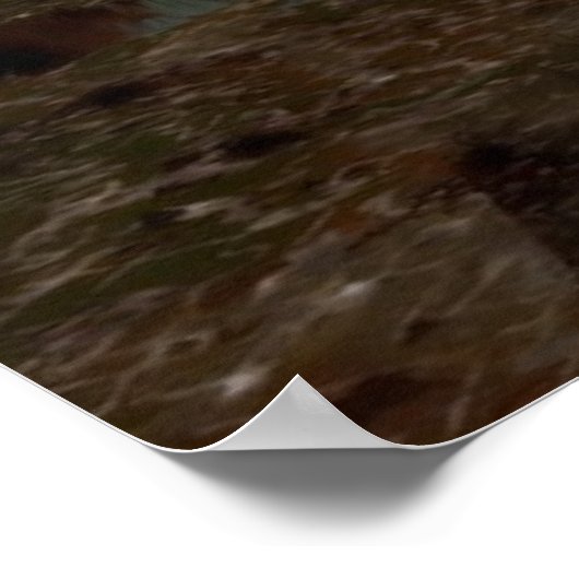 Dragon Standoff Poster (Hoek)