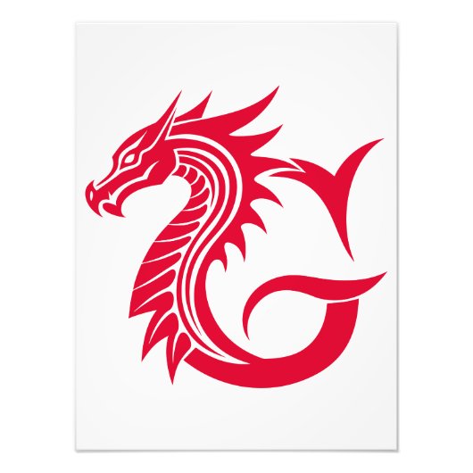 Dragon Styled Letter G, Dragon Alphabet, Monogram Foto Afdruk (Voorkant)