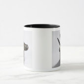 Dragon, symbool van de god Marduk, Late Assyrische Mok (Midden)