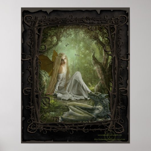 Dragon Tamer Poster (Voorkant)