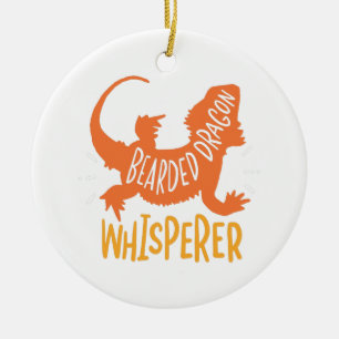 Dragon Whisperer Reptile Ceramic Ornament