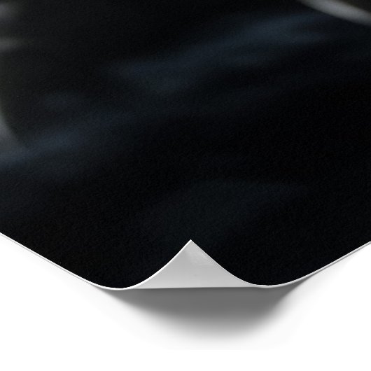 Dragon Wild Beast Portret Fierce Power Poster (Hoek)